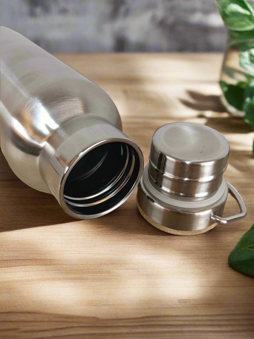 Stainless Steel Bottle